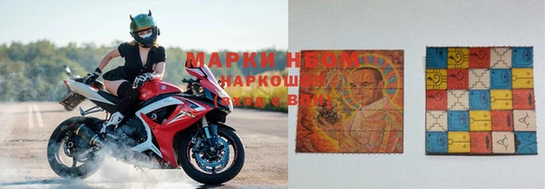 ГАЛЛЮЦИНОГЕННЫЕ ГРИБЫ Богородск