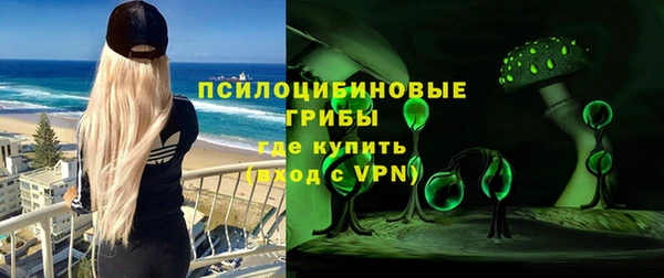 амф Богородицк