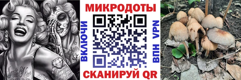 ОМГ ОМГ tor  Чулым  Псилоцибиновые грибы ЛСД 