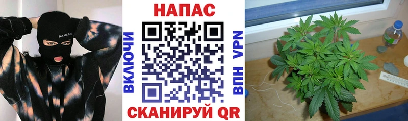 наркошоп Чулым Канабис гибрид